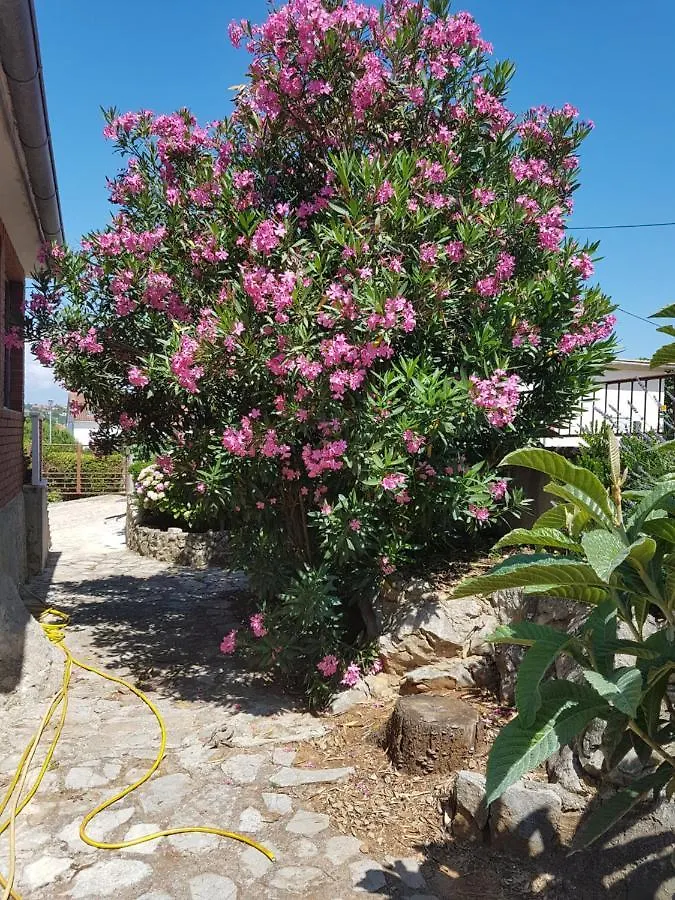 Apartments Vesna Avsec - Krk Town